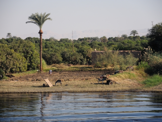 2022_219-Aegypten-Nil