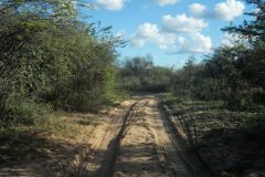 2026_379-Botswana-Kharma-Rhino-Sanctuary