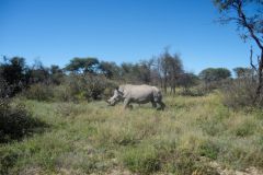 2026_388-Botswana-Kharma-Rhino-Sanctuary