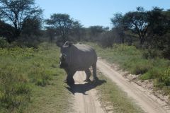 2026_389-Botswana-Kharma-Rhino-Sanctuary