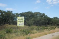 2026_404-Botswana-Orapa