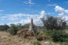 2026_405-Botswana-Orapa