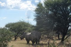 2026_407-Botswana-Orapa