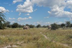 2026_410-Botswana-Nxai-Pan-NP