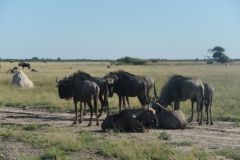 2026_424-Botswana-Nxai-Pan-NP
