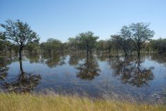 2026_437-Botswana