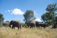 2026_441-Botswana