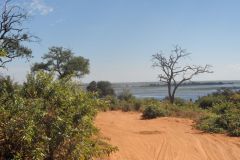 2026_483-Botswana-Chobe-NP