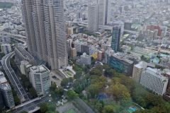 Japan20260912_1021231