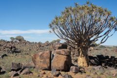 2026_634-Namibia-Keetmanshoop-Mesosaurus-Fossil-Site