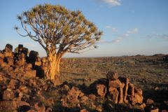 2026_664-Namibia-Keetmanshoop-Mesosaurus-Fossil-Site