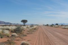 2026_727-Namibia
