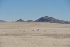 2026_730-Namibia