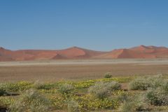 2026_746-Namibia-Sossusvlei