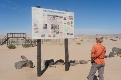 2026_810-Namibia-Namib-Naukluft-NP