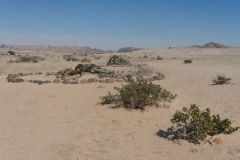 2026_814-Namibia-Namib-Naukluft-NP