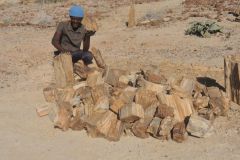 2026_865-Namibia-Versteinerter-Wald