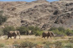 2026_872-Namibia-Damaraland