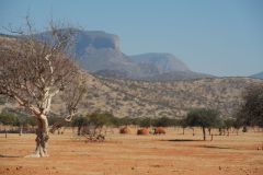 2026_880-Namibia-Kaokoland