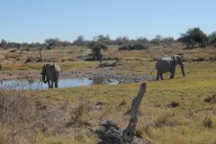 2026_916-Namibia-Etosha-NP