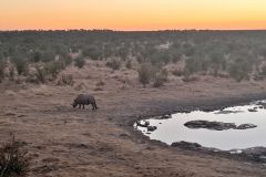 2026_937-Namibia-Etosha-NP