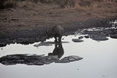 2026_938-Namibia-Etosha-NP
