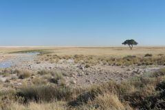 2026_945-Namibia-Etosha-NP