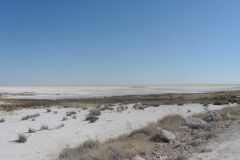 2026_950-Namibia-Etosha-NP