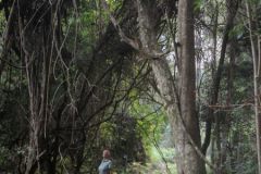 1_2026_048-Suedafrika-Garden-Route-NP