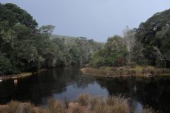 1_2026_049-Suedafrika-Garden-Route-NP