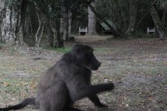 1_2026_050-Suedafrika-Garden-Route-NP