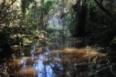 2026_064-Suedafrika-Garden-Route-NP