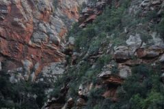 2026_068-Suedafrika-Swartberge