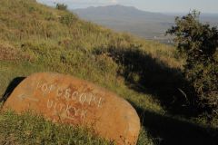 2026_098-Suedafrika-Cambedoo-NP