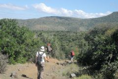 2026_103-Suedafrika-Cambedoo-NP