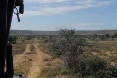 2026_142-Suedafrika-Mountain-Zebra-NP