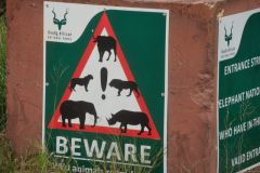 2026_154-Suedafrika-Addo-Elephant-NP