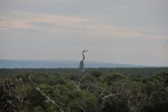 2026_165-Suedafrika-Addo-Elephant-NP