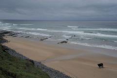 2026_224-Suedafrika-Wild-Coast