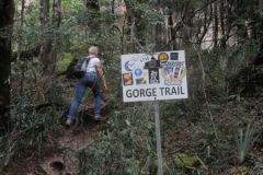 2026_237-Suedafrika-Drakensberge