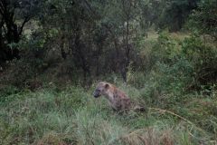 2026_281-Suedafrika-Kruger-NP