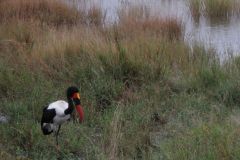 2026_289-Suedafrika-Kruger-NP