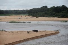 2026_299-Suedafrika-Kruger-NP