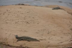 2026_309-Suedafrika-Kruger-NP