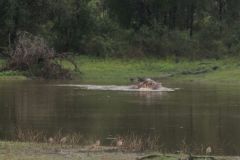 2026_314-Suedafrika-Kruger-NP