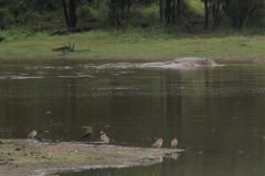 2026_315-Suedafrika-Kruger-NP