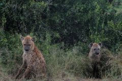 2026_342-Suedafrika-Kruger-NP
