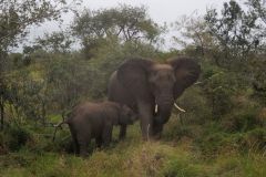 2026_355-Suedafrika-Kruger-NP